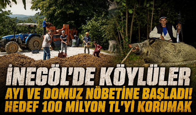 İnegöl'de köylüler fındıklarını korumak için gece nöbeti tutuyor