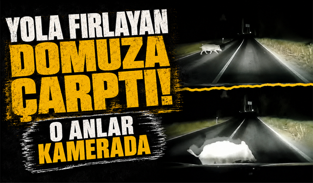 Bursa Orhangazi'de otomobil domuza çarptı; çarpma anı araç kamerasında