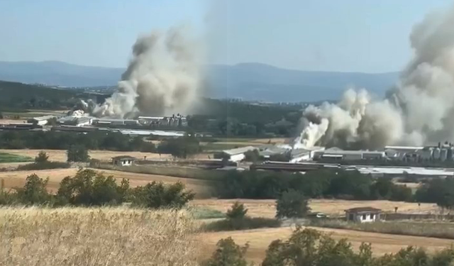 Bursa Mudanya'da tavuk çiftliğinde yangın