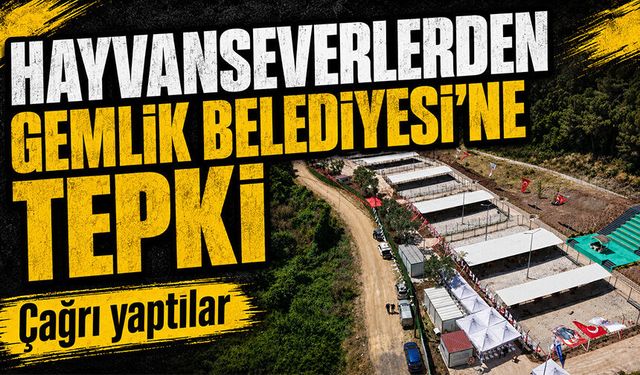 Bursa Hayvan Hakları Platformu'ndan Gemlik Belediyesi'ne tepki: "Kapıları açın"
