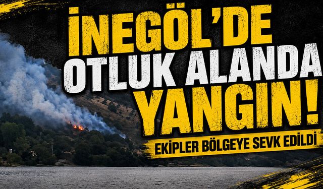 Bursa İnegöl’de Otluk Alanda Yangın! Ekipler Bölgeye Sevk Edildi