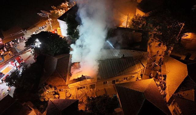 Bursa Gölyazı'da alevler yükseldi