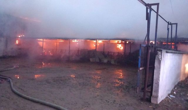 Bursa Mustafakemalpaşa’da çiftlik yangını
