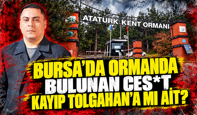 Bursa'da ormanda bulunan ces*t 8 aydır kayıp Tolgahan'a mı ait?