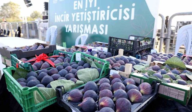 12. Akçalar Fadıllı İncir Festivali 13 Eylül'de Akçalar Göl Kıyısı'nda