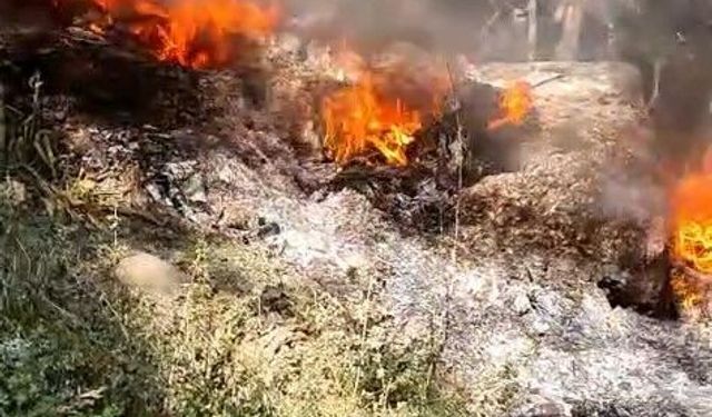 Bursa'da facia vatandaşlar tarafından önlendi: O anlar kamerada!