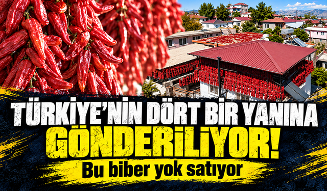 Mahalle kırmızıya büründü: Bir demet biber 500 TL’den satılıyor
