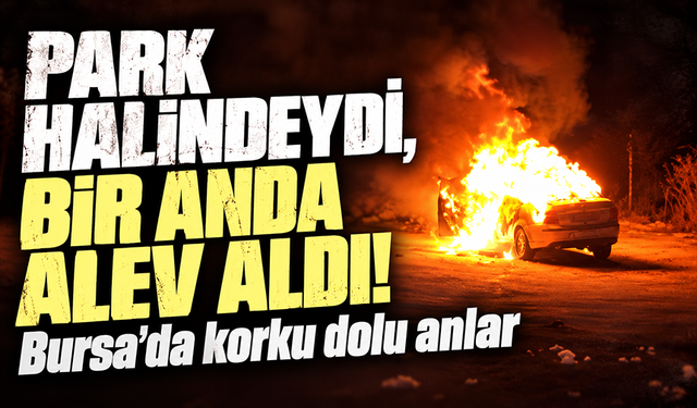Bursa'da park halindeki otomobil cayır cayır yandı