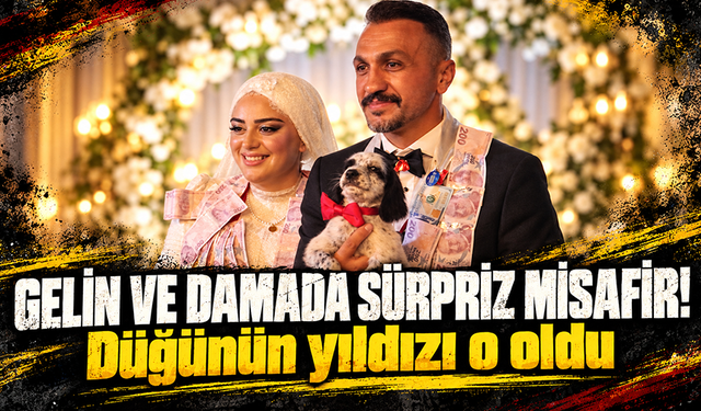 Düğünde altın yerine köpek taktı
