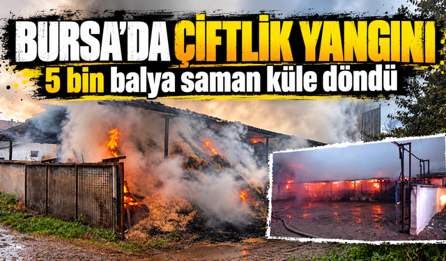 Bursa Mustafakemalpaşa’da çiftlik yangını