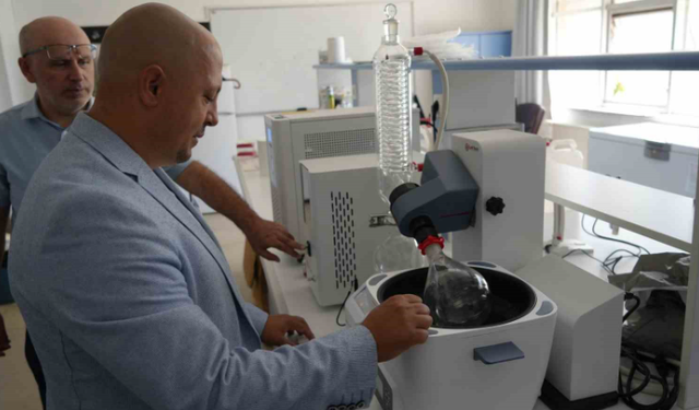 Kastamonu ormanlarında yetişen mantarlar ciltleri güneşten koruyacak