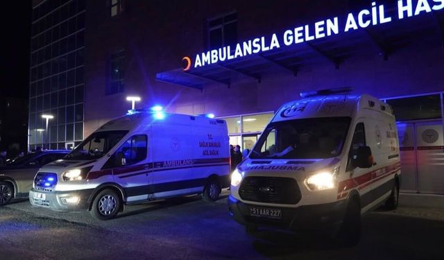 Tır ile hafif ticari araç kafa kafaya çarpıştı: 2 ölü, 1 yaralı