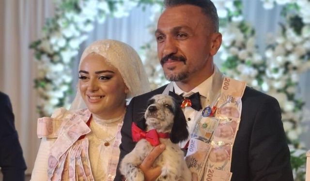 Düğünde altın yerine köpek taktı