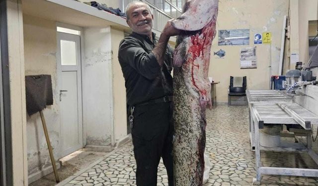 Bu balığı gören bir daha baktı! İnegöllü Esnaf dev yayın balığını yakaladı
