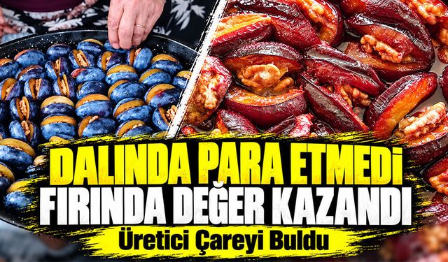Dalında 4 liraya düşen ton eriği kışlık tatlıya dönüşüyor