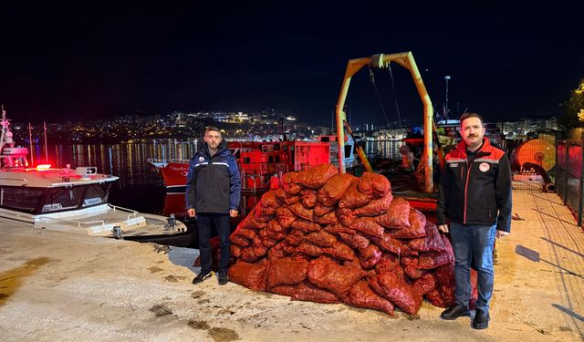 Gemlik’te kaçak midye avına geçit yok: 174 bin TL ceza