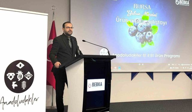Bursa'nın yaban mersini için yol haritası paydaşlarla çiziliyor