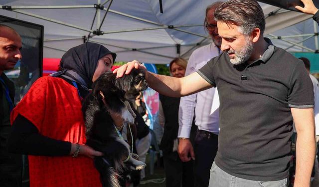 Büyükşehir'den can dostları için yuva seferberliği