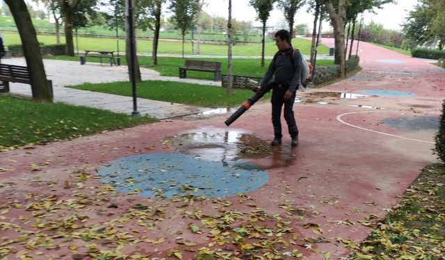 Büyükşehir'den park ve bahçelere düzenli bakım