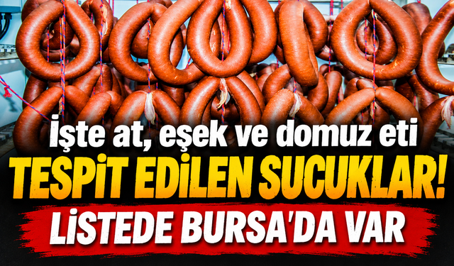 İşte at, eşek ve domuz eti tespit edilen sucuklar! Listede Bursa'da var