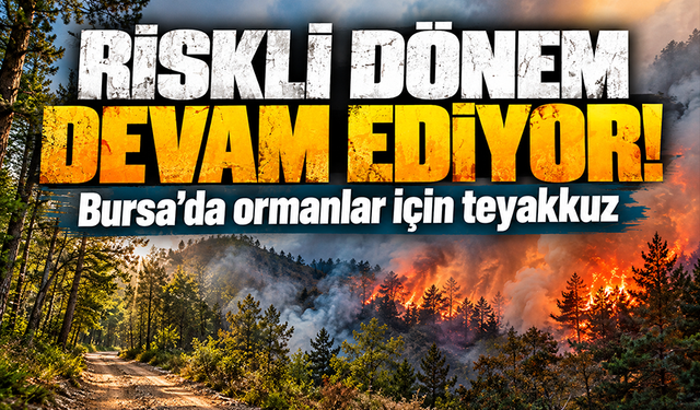 Bursa'da ormanlarda teyakkuz devam ediyor