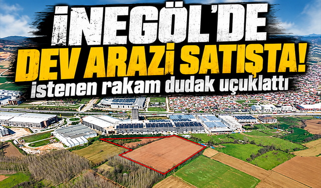 İnegöl'de dev arazi satışta: İstenen rakam dudak uçuklattı