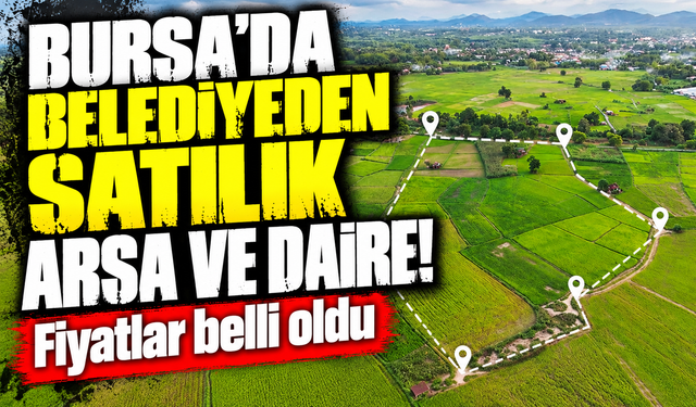 Bursa'da belediyeden satılık arsa ve daire!