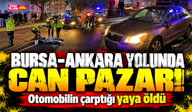 Bursa-Ankara yolunda otomobilin çarptığı yaya öldü