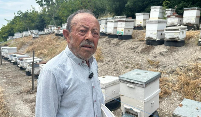 50 yıllık arıcı emekli başgardiyan 20 yıldır Avrupa'ya bal gönderiyor