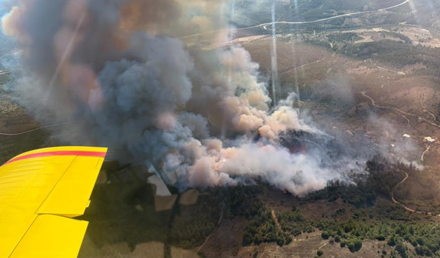 Büyükorhan'daki orman yangınına takviye ekipler sevk edildi