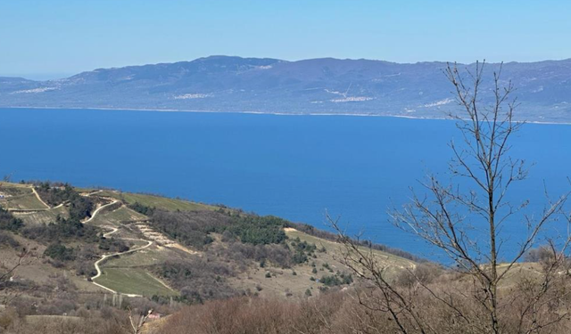 Bursa'nın bu köyüne büyük ilgi! İstanbul ve Ankara'dan geliyorlar