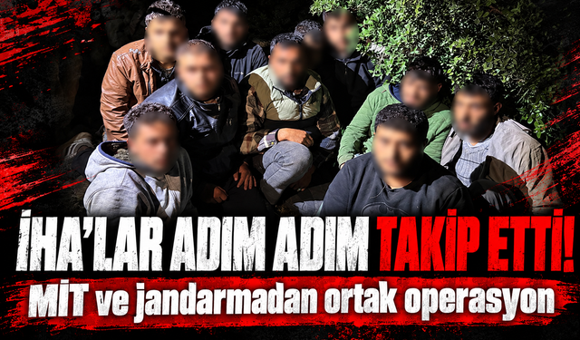Jandarma ve MİT’ten ortak operasyon: 11 göçmen yakalandı