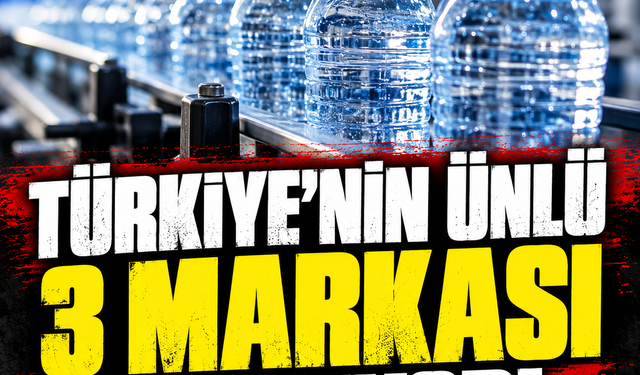 Türkiye'nin ünlü markaları Sırma, Hayat, Akmina satılıyor!