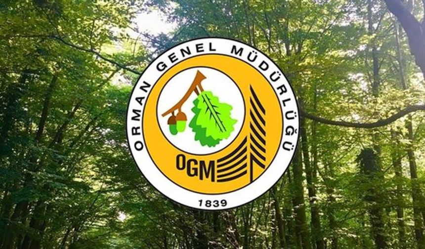 ORMANCILIK ÇALIŞMALARININ TAKİBİ VE KONTROLÜ HİZMETİ ALINACAK