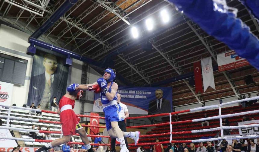 Yıldız Erkekler ve Kadınlar Türkiye Ferdi Boks Şampiyonası tamamlandı
