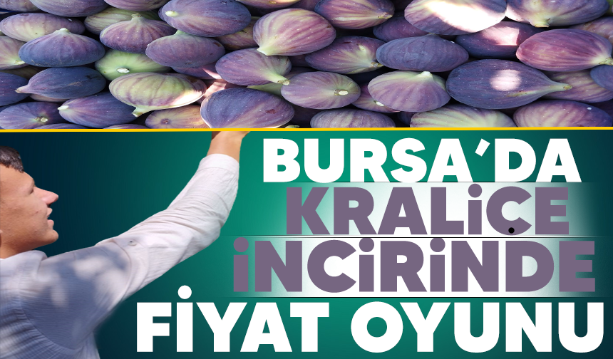 Bursa'da Kraliçe incirinde fiyat oyunu