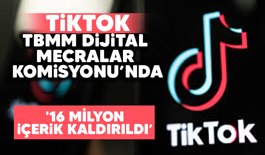 TikTok Türkiye Sözcüsü'nden dikkat çeken açıklama'16 Milyon içerik kaldırıldı'
