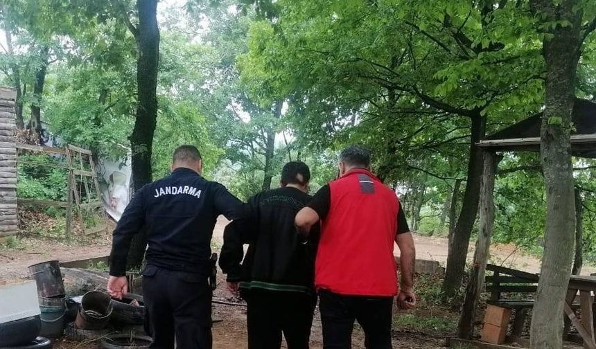 Yalova’da 2 hektar ormanın yanmasına neden olan zanlı gözaltına alındı
