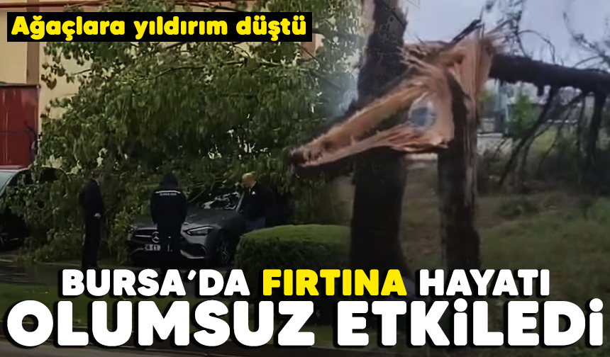 Bursa'da fırtına hayatı olumsuz etkiledi! Ağaçlara yıldırım düştü