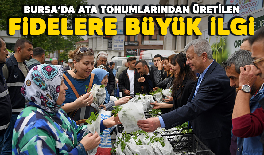 Bursa'da ata tohumlarından üretilen fidelere büyük ilgi