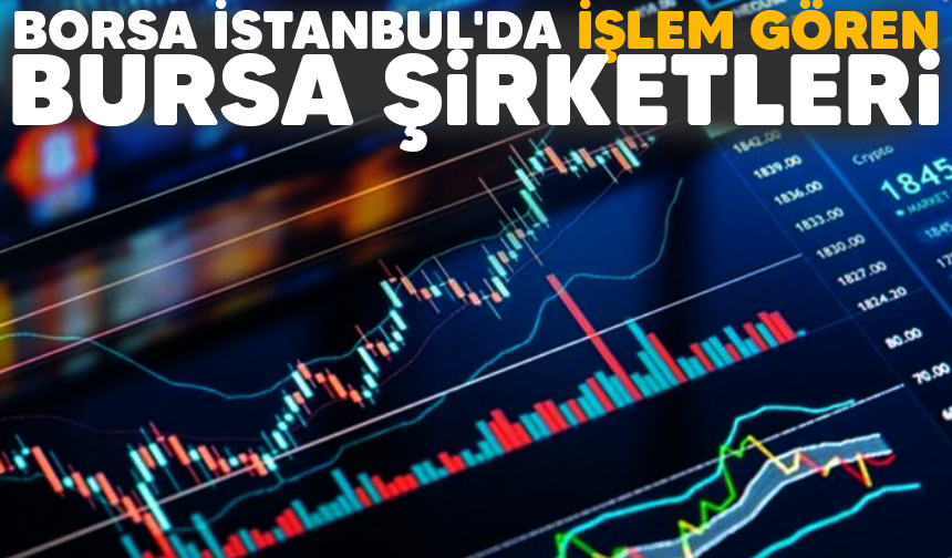 Borsa İstanbul'da işlem gören Bursa Şirketleri