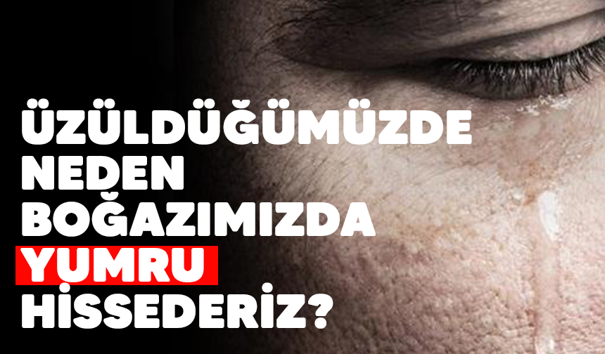 Üzüntü Anlarında Boğazımızda Yumru Hissi Neden Oluşur?