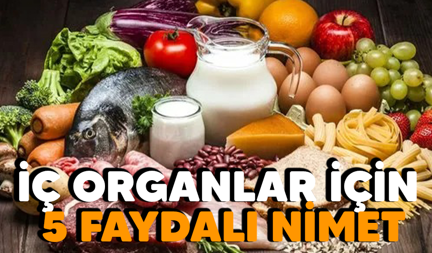 İç Organlar için 5 faydalı nimet