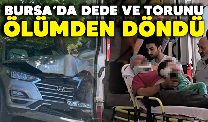 İnegöl'de dede ve torunu ölümden döndü