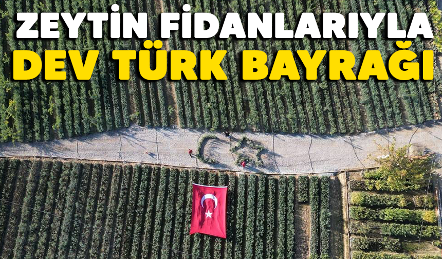 Bursa'da zeytin fidanlarıyla Türk Bayrağı'nı oluşturdu