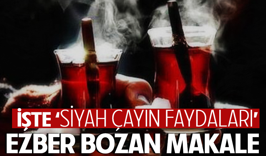 ‘Siyah çayların faydaları’ literatüre geçti