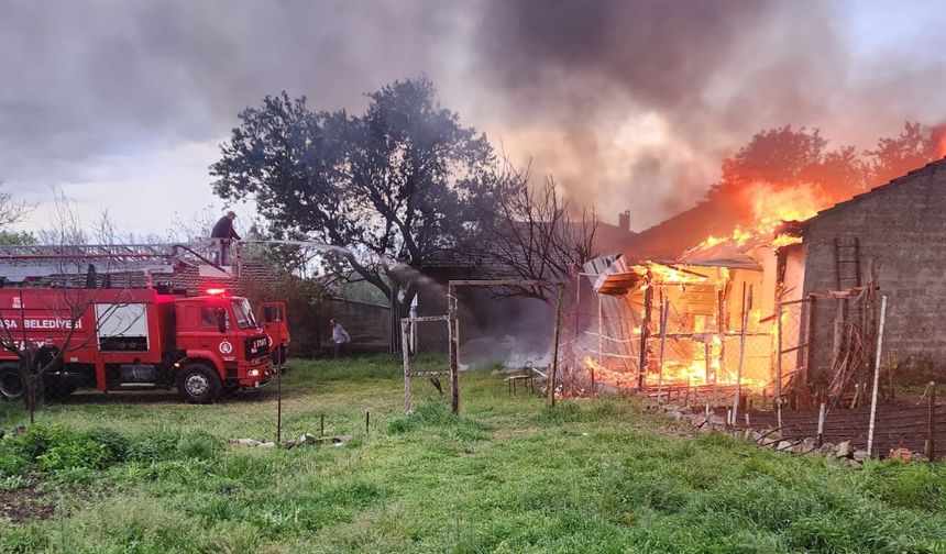 Edirne’de arı kovanlarının bulunduğu depo alev alev yandı