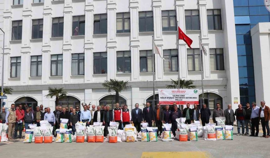 Yalova’da çiftçiye 1 ton 890 kilo ayçiçeği tohumu dağıtıldı