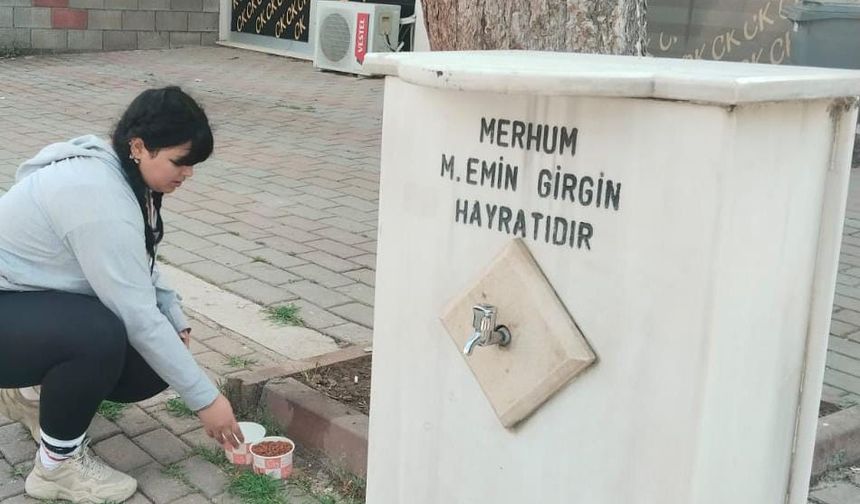 Üniversite Öğrencilerinden Sokak Hayvanlarına Destek