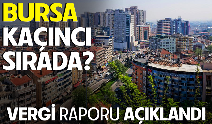 2024 Vergi Raporu Açıklandı: Bursa İlk Beş İl Arasında